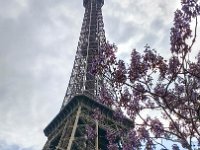 2017-04-22 07.46.05 La Tour Eiffel -- A trip to Paris -- 22 April 2017