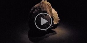 20241228_130958 null