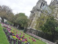 DSC_9807 Notre-Dame de Paris -- A few days in Paris, France (23 April 2012)
