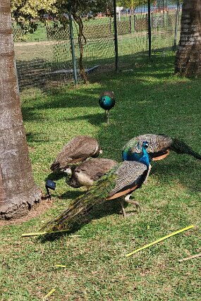 20231224_141542 null