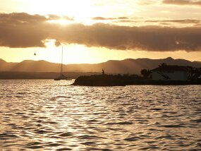 PICT1937