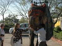 DSC_5781 On the road to Agra (Taj Majal) - Jan & Kate from Tasmania