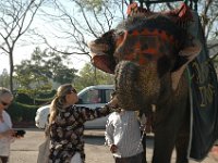 DSC_5782 On the road to Agra (Taj Majal) - Jan & Kate from Tasmania