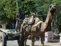 DSC_5917 On the road to Agra (Taj Majal) - Local transport
