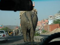 DSC_6490 Travelling around Jaipur - Local transportation for the tourists