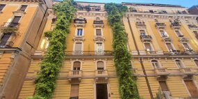 20250723_180313 null