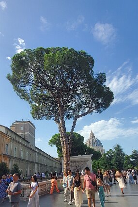 20250725_091923 null