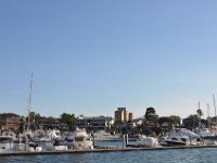 DSC_8040 Captain Cook Cruises from Olympic Park to Darling Harbour & Circular Quay - 3 Jan 12