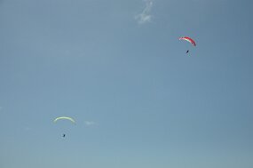 DSC_4586 null