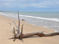 DSC_6970 A visit to Woodgate Beach, Queensland -- 27 Dec 11