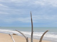DSC_6973 A visit to Woodgate Beach, Queensland -- 27 Dec 11