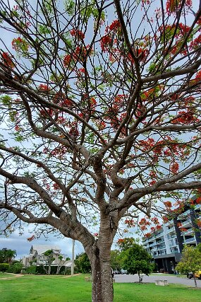 20231123_113312 null