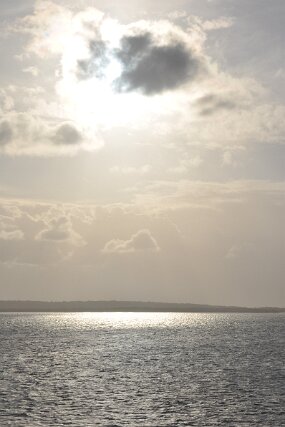 DSC_0212 null