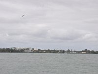 DSC_9697 Hervey Bay (Queensland, Australia)