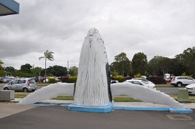 DSC 9716