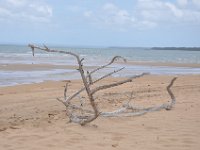 DSC_9787 The Beach (Hervey Bay, Qeensland, Australia)