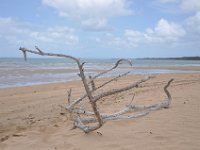 DSC_9789 The Beach (Hervey Bay, Qeensland, Australia)