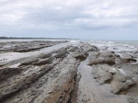 DSC_9828 The Beach (Hervey Bay, Qeensland, Australia)