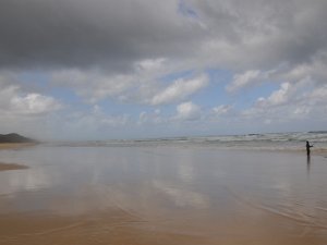 Fraser Island... Fraser Island, Queensland, Australia