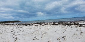 20240721_132513 null