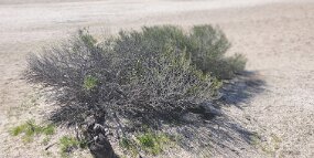 20240724_143251 null
