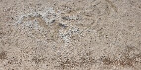 20240724_143347 null
