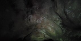20240731_155232 null
