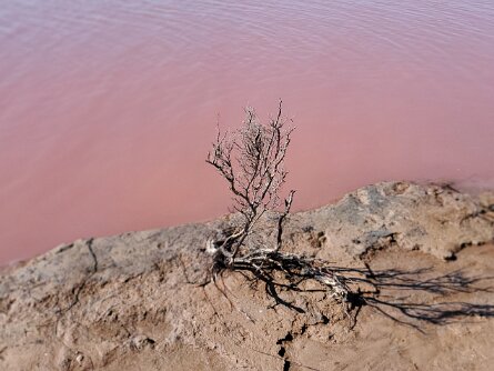 Pink Lake (22 Jul 24) Pink Lake (22 July 2024)