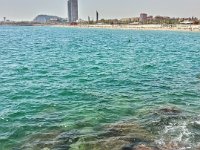 20150704_133924_HDR Playa de la Mar Bella -- A visit to Barcelona (Barcelona, Spain) -- 4 July 2015