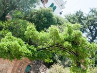 DSC_8434 Park Güell -- A visit to Barcelona (Barcelona, Spain) -- 6 July 2015