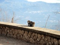 DSC_1825 A visit to Montserrat, Spain -- 30 December 2013