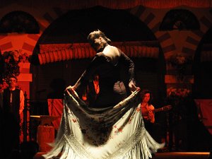 Flamenco Show Dinner and Flamenco show at El Palacio Andaluz (Seville, Spain) -- 2 January 2014