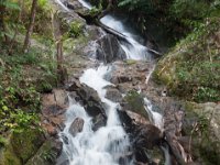 DSC_6616 A visit to Mae Kampong Waterfalls (Chiang Mai, Thailand) -- 30 December 2014