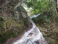 DSC_6620 A visit to Mae Kampong Waterfalls (Chiang Mai, Thailand) -- 30 December 2014