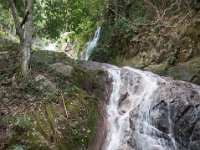 DSC_6621 A visit to Mae Kampong Waterfalls (Chiang Mai, Thailand) -- 30 December 2014