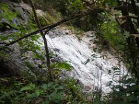 DSC_6628 A visit to Mae Kampong Waterfalls (Chiang Mai, Thailand) -- 30 December 2014