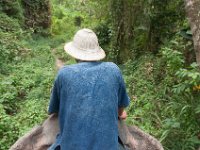 DSC_6310 A ride on the elephant at The Jungle House (Khao Yai, Thailand) -- 27 December 2014