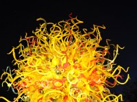 DSC_0023 Chihuly -- The Nature of Glass Exhibit