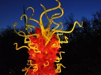 DSC_0032 Chihuly -- The Nature of Glass Exhibit