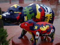 DSC_8956 Javelinas: Oui, Oui, Oui, All The Way Home, Sedona, AZ