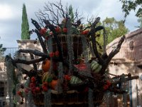 DSC_3686 Tlaquepaque Arts & Crafts Village -- A trip to Sedona, AZ (5 November 2016)