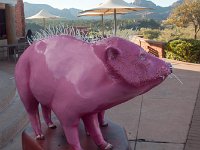DSC_3366 The Pink Jeep Tour (Sedona, AZ) -- 5 November 2016