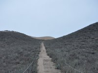 DSC_5459 The climb to get to the beach -- Marina State Beach, CA (3 Sep 11)