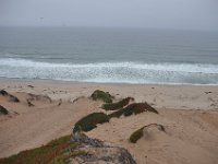 DSC_5465 Marina State Beach, CA (3 Sep 11)