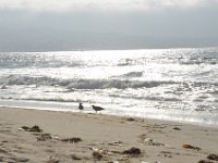 DSC_5365 Monterey State Beach, Seaside, CA (3 Sep 11)