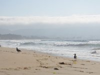 DSC_5367 Monterey State Beach, Seaside, CA (3 Sep 11)