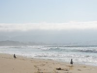 DSC_5368 Monterey State Beach, Seaside, CA (3 Sep 11)