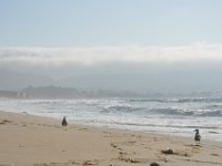 DSC_5369 Monterey State Beach, Seaside, CA (3 Sep 11)