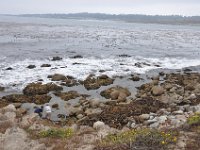 DSC_5380 Along The 17 Mile Drive -- Pebble Beach, CA (3 Sep 11)