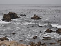 DSC_5382 Along The 17 Mile Drive -- Pebble Beach, CA (3 Sep 11)